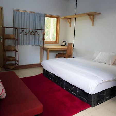 Lotide Surf Camps Lombok Vandrehjem Kuta  Eksteriør billede